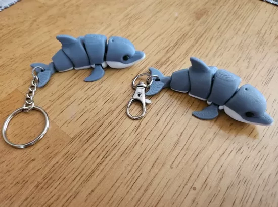 Delfīna piekariņš